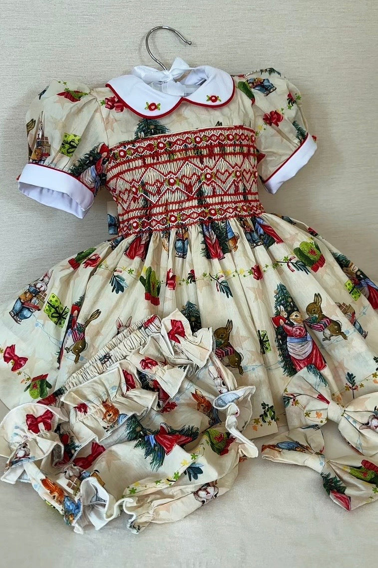 Peter rabbit Christmas dress