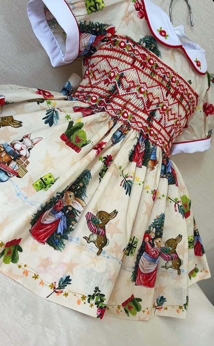 Peter rabbit Christmas dress