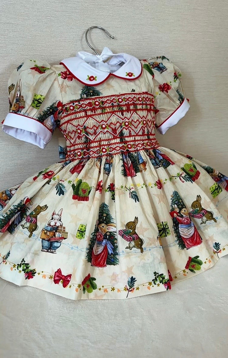 Peter rabbit Christmas dress