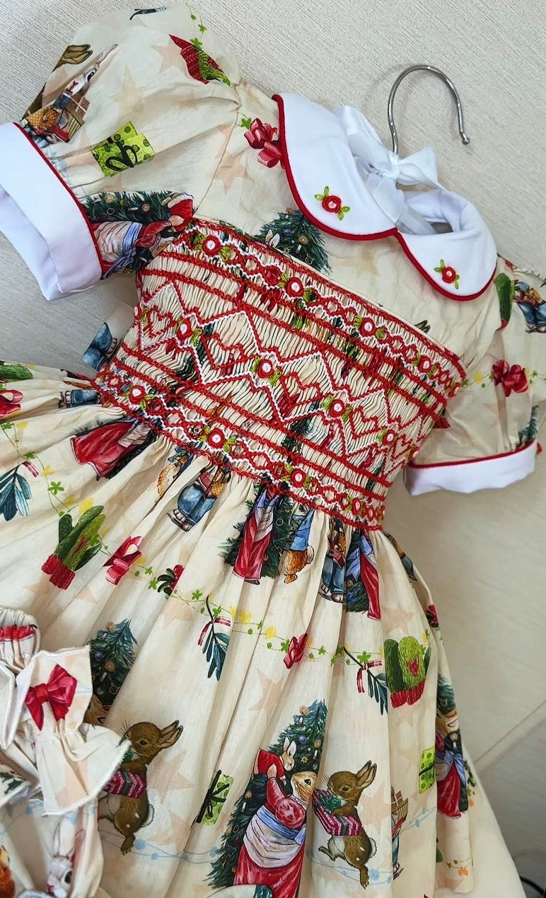 Peter rabbit Christmas dress